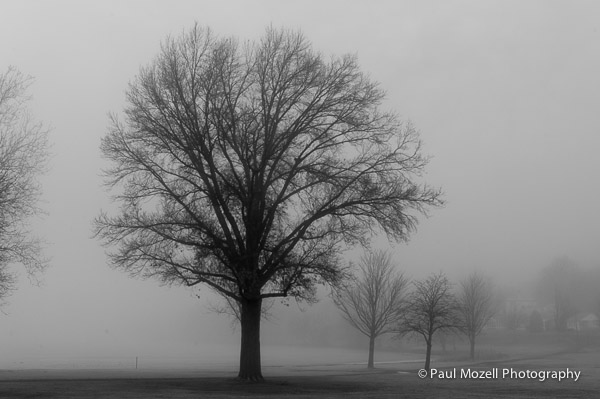 Morning fog on the upper common by Lake Quannapowitt, Wakefield, MA